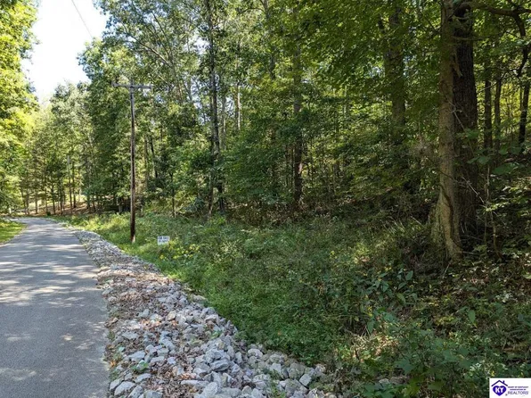 671 Holley Cave Dr, Mammoth Cave, KY 42259