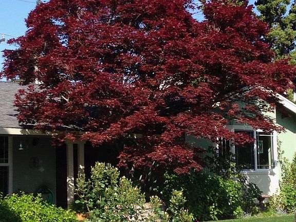 5th image of 5171 Joseph Ln