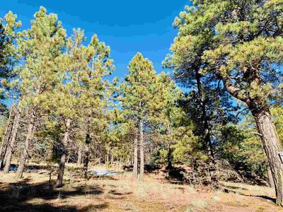 LOT 6 Upper Rd, Angel Fire, NM, 87710