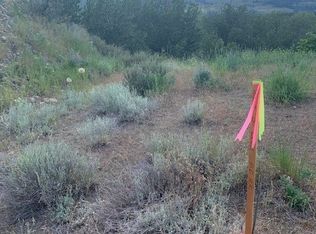 3 High Ridge Rd, Winthrop, WA 98862