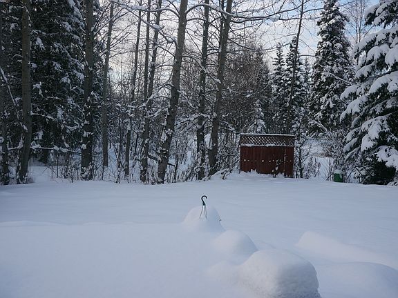 backyard from deck