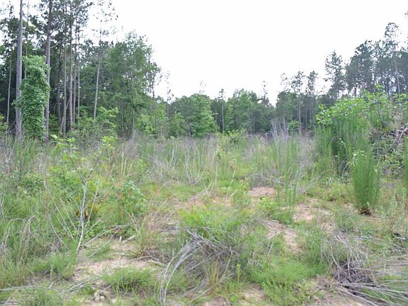 5th image of 22 Leons Way Lot 22