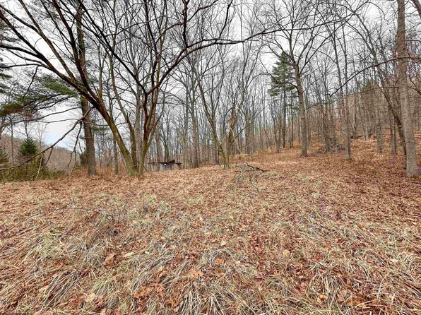 800 Red Lick Rd, New Milton, WV 26411