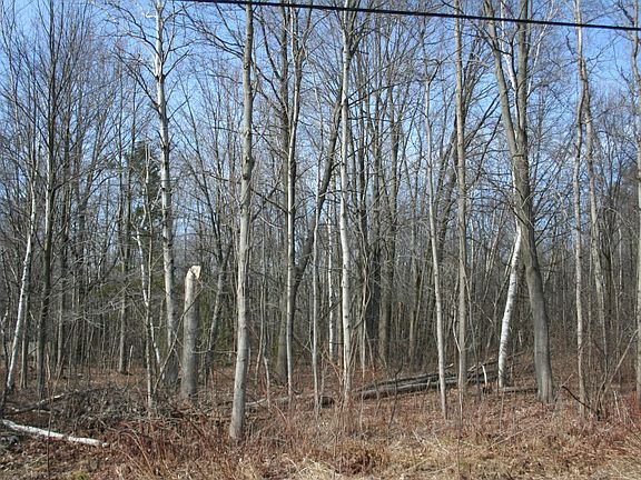 3rd image of W Birch Ln