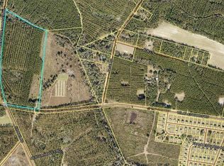 0 Wilma Edwards Rd, Ellabell, GA 31308