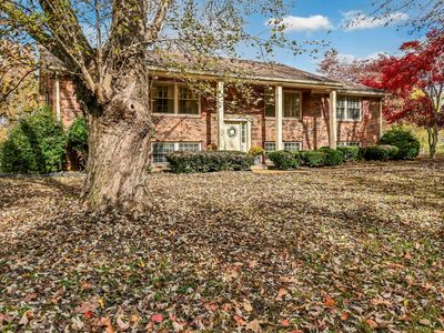 2419 Chris Dr, Clarksville, TN, 37043