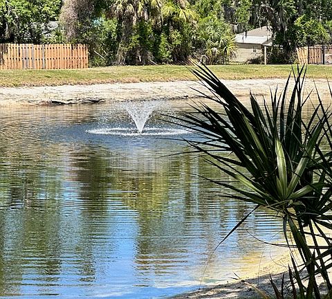4th image of 4675 Breezy Pines Blvd