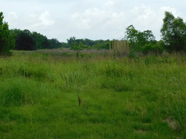 Highway 308, Larose, LA 70373