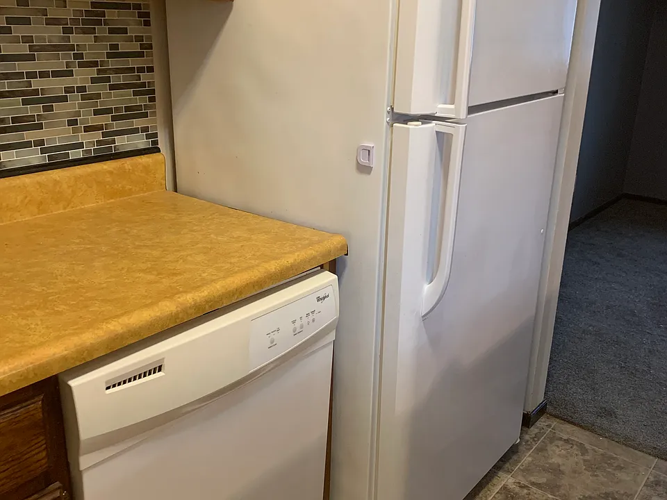 Fridge & Dishwasher