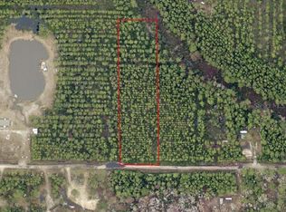 NE 215TH STREET, FORT MC COY, FL 32134