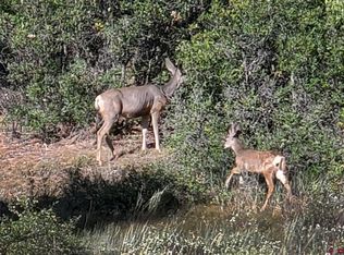 248 Rock Point Place, Pagosa Springs, CO 81147