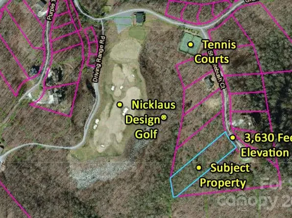 LOT 36 Steeplebush Ct, Tuckasegee, NC 28783