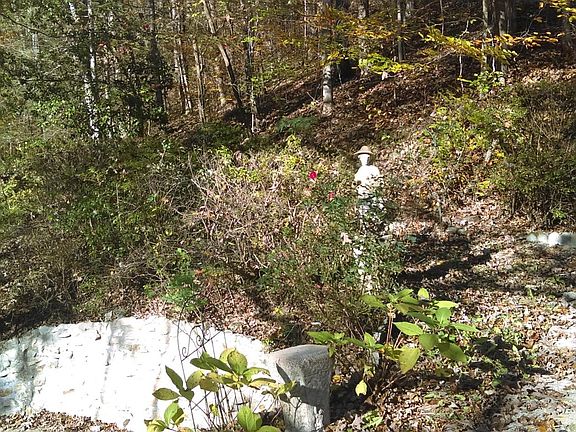 5th image of 6253 Old Walland Hwy