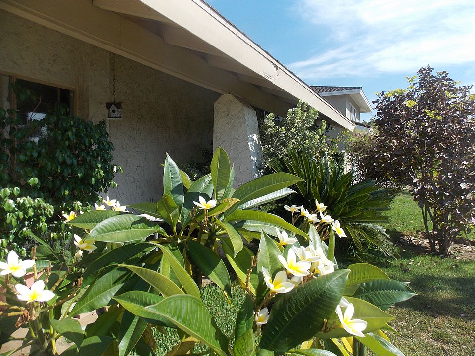 2nd image of 10221 Orange Grove Ave