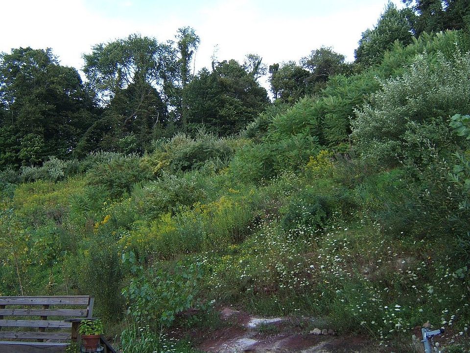 hill