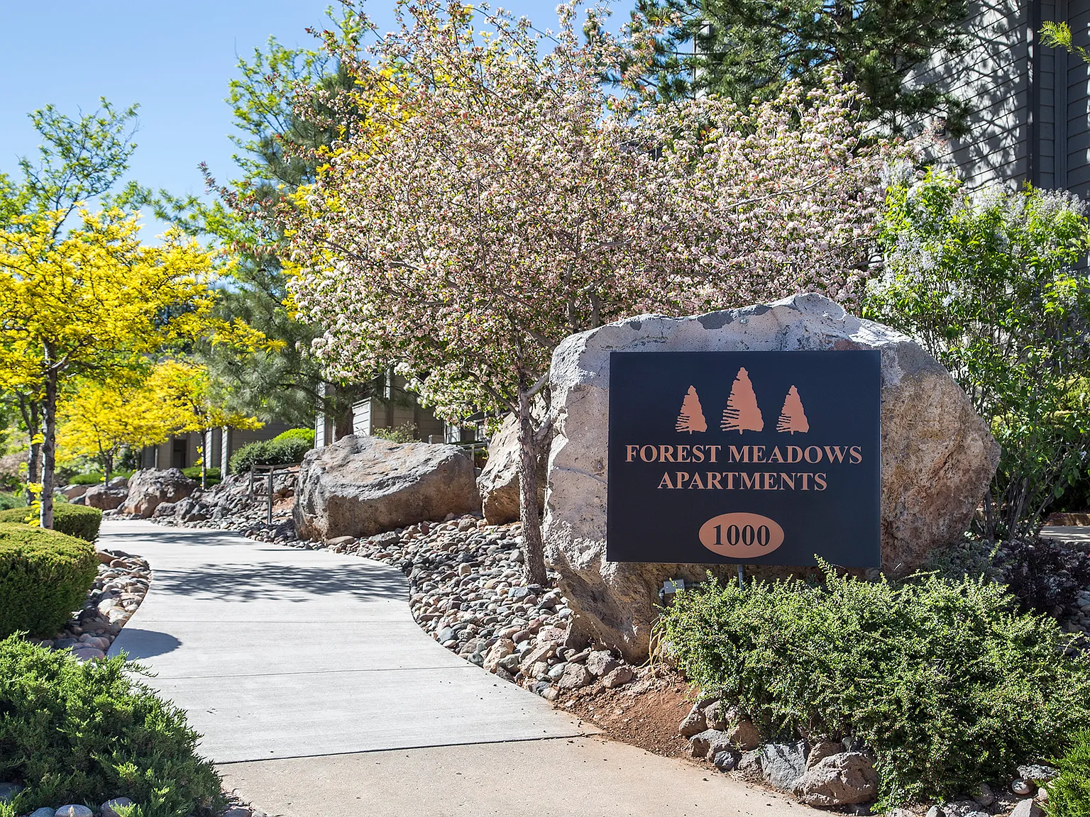Forest Meadows Apartments — Photo 1