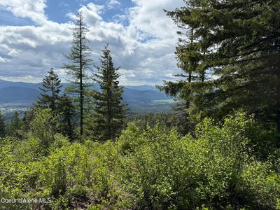 397 Upriver View Dr, Fernwood, ID, 83830