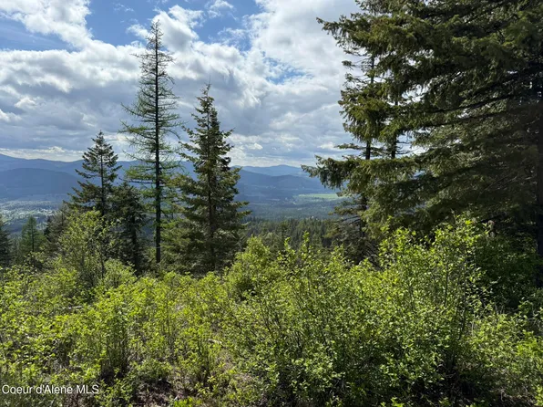 397 Upriver View Dr, Fernwood, ID 83830