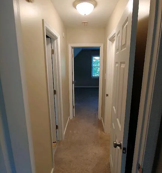 14207 Spotted Coat Ct — Photo 11