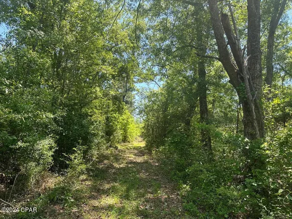 0 Us Highway 90, Marianna, FL 32446