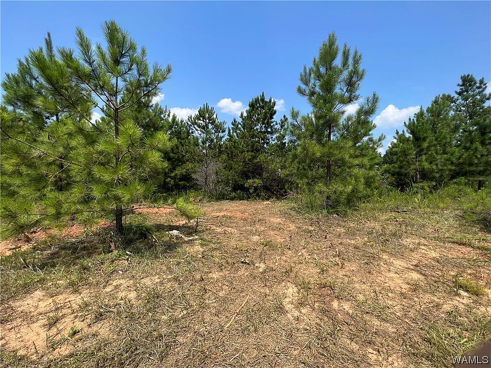 2nd image of 101 Crimson Ridge Rd Lot 101