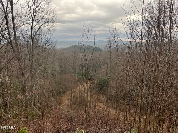 H Proffitt Ln, Butler, TN 37640