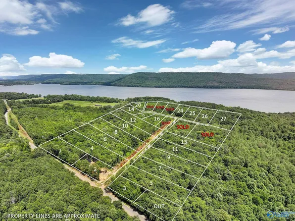 LOT 1 Durham Rd, Langston, AL 35755