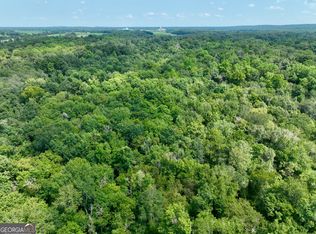 0 Highway 247, Kathleen, GA 31047