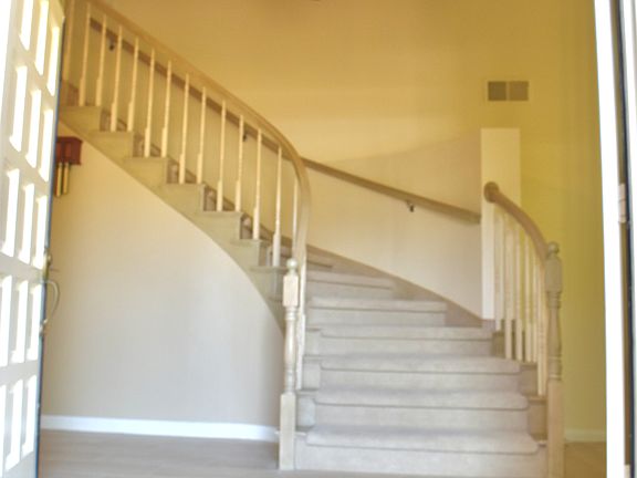 Elegant winding staircase with new carpet