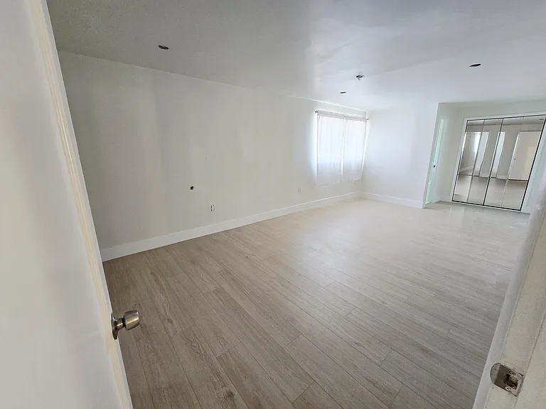 ...and a mirrored walk-in closet at the back