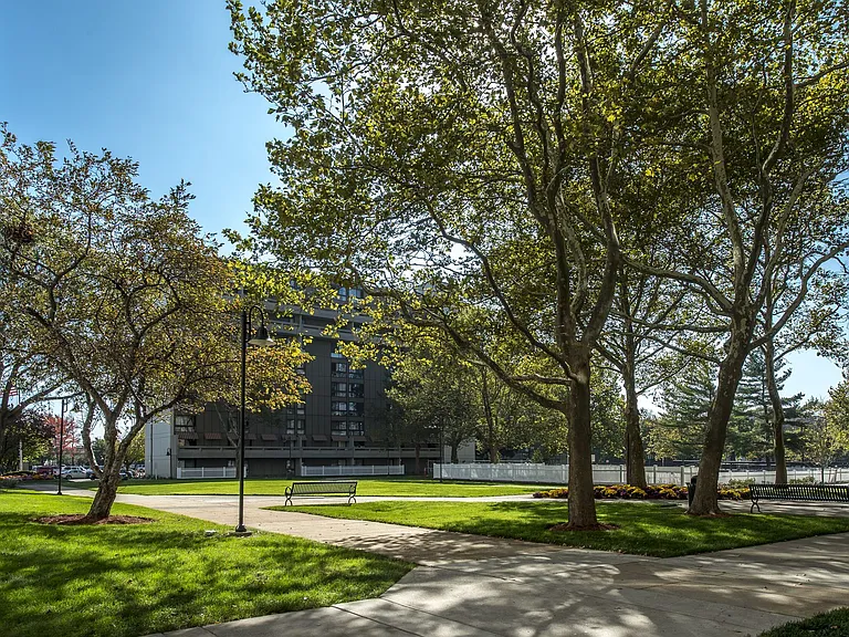 Outdoor Grass Area