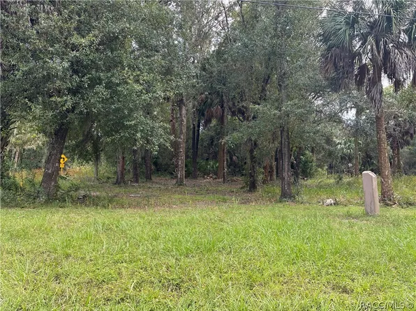 81 N Country Club Dr, Crystal River, FL 34429