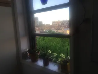 Rented by Geraldine Capasso, LREB