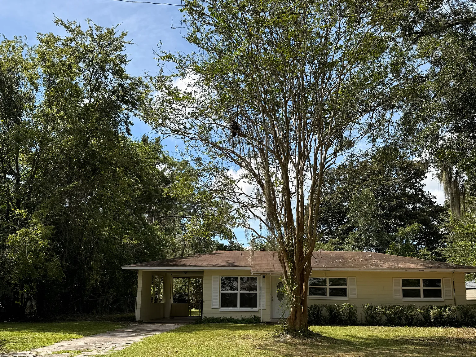 3 bed, 1197 sqft, $1,750 — Photo 2