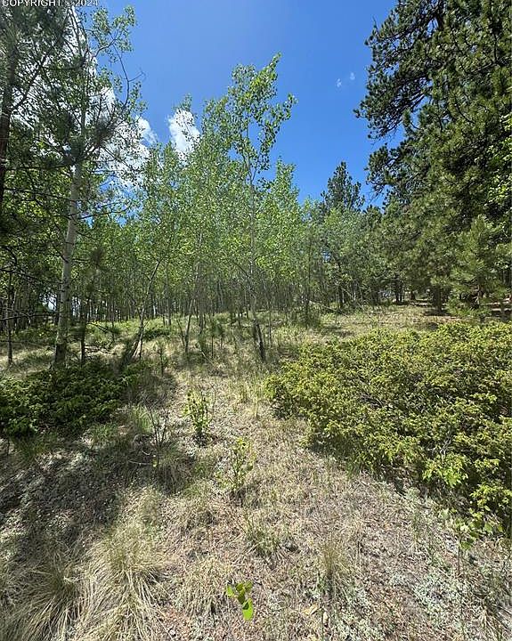 2nd image of 64 Rattler Way