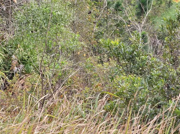 0 Highway 60 E #65, Lake Wales, FL 33898