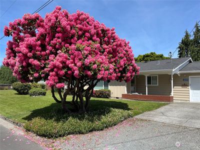 1209 Curtis Street, Burlington, WA, 98233
