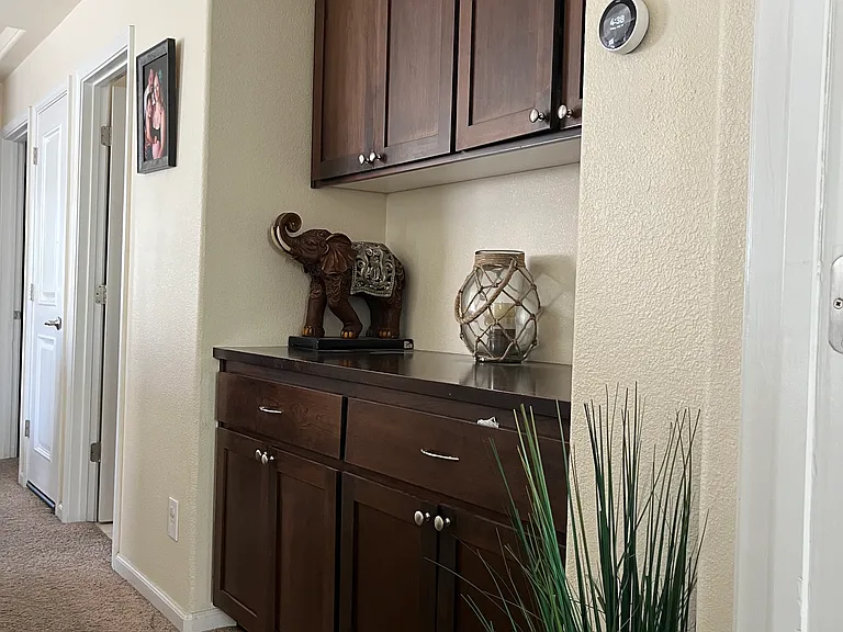 120 Sarafina Way — Photo 8