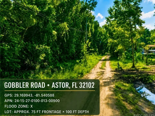 0 Gobbler Rd, Astor, FL 32102