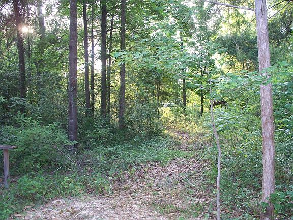 Path leading from this home to the Santa Fe river