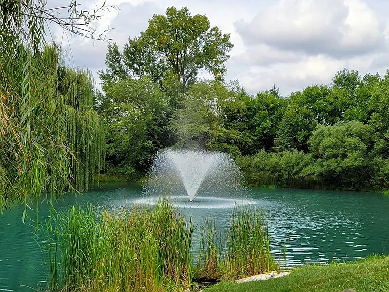 A highly forested neighborhood provides a convenient environment where you and your pet feel relaxed.
