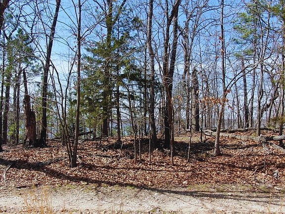 2nd image of 2915 County Road 356