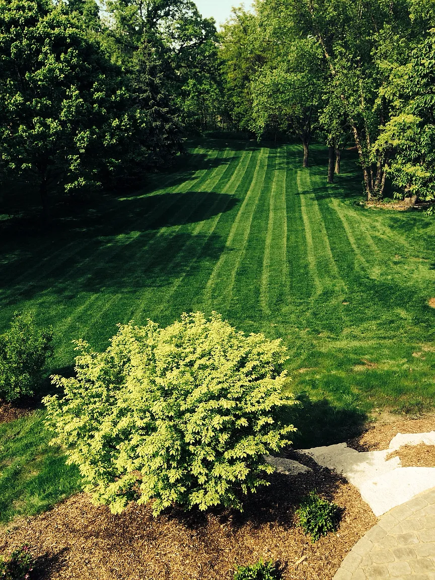 316 Jessica Ln photo 1