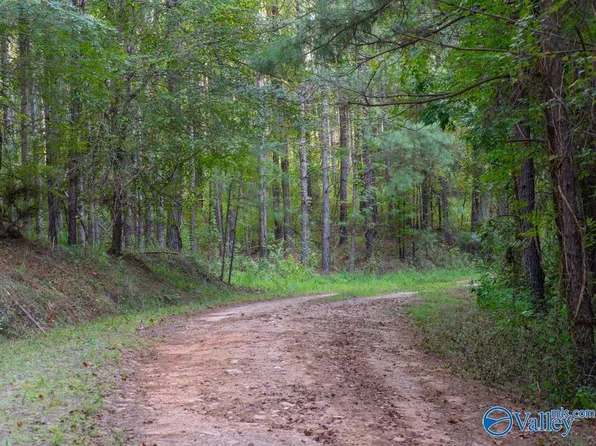 67 Acres Off County Rd #22, Rockford, AL 35136
