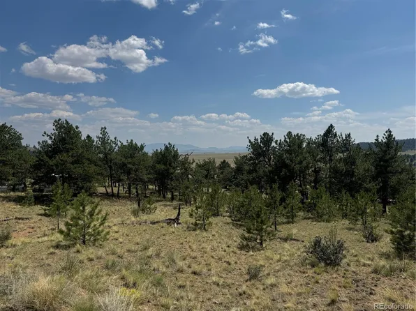 1475 Costella Drive, Hartsel, CO 80449
