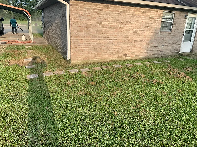 Back yard