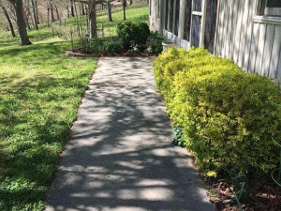 Front sidewalk leading to Screened Porch Entrance.