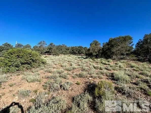 850 Buckeye Rd, Reno, NV 89521