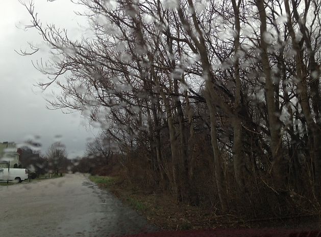 1st image of 25 Patricia Ann Dr