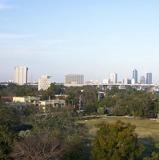 View From Dining Room